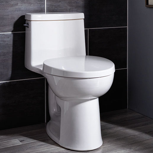 American Standard Loft 1.28 GPF Elongated OnePiece Toilet Floor